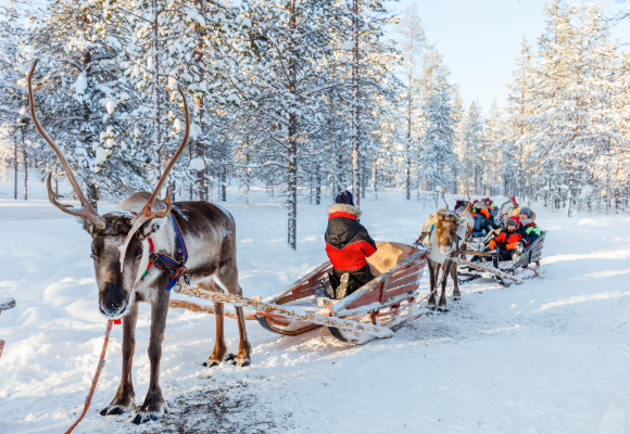 Lapland - Finland: Magical Christmas or New Year in the Arctic Circle